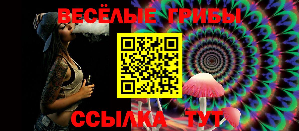Пенза  Псилоцибиновые грибы GOLDEN TEACHER  Псилоцибиновые грибы Cubensis  Вход с VPN 